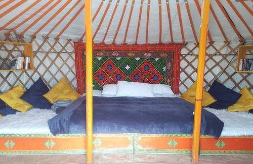 Dalanzadgad House | Dalanzadgad Homestay - Unique Ger Accommodation