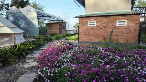 Da Lat Apartment | DaLart Glamping & Coffee