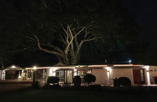 Worcester House | Damas Guest Farm