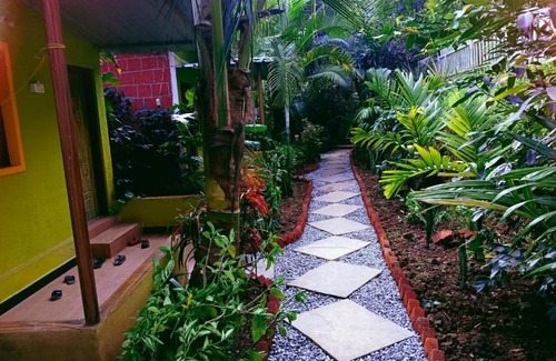 Supa House | Dandeli lemon tree jungle stay