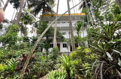 Dandeli Bed & Breakfast | DANDELI RIVER NEST