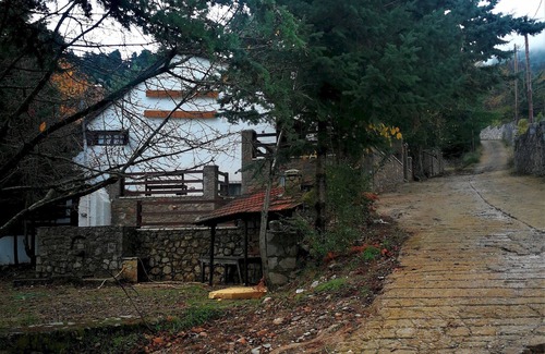 Eptalofos Ski Chalet | Dandy Villas Agoriani-Chalet Orelia-Fireplace-Up to 4 people