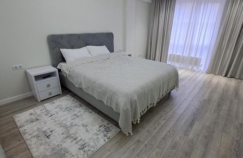 Chisinau Apartment | Dansicons apartament