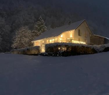 Dalaas Apartment | DAS Max