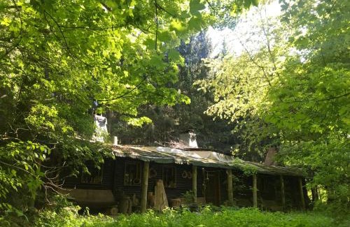 Bertsdorf-Hoernitz Apartment | Das wilde Auwaldhaus