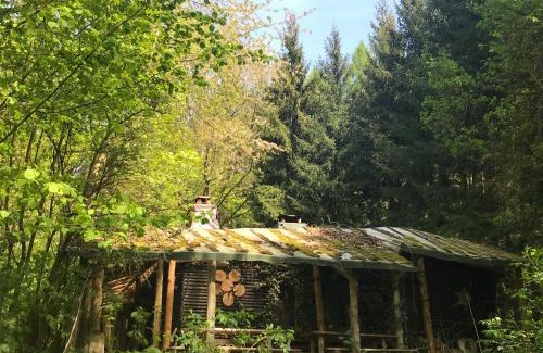 Bertsdorf-Hoernitz Apartment | Das wilde Auwaldhaus