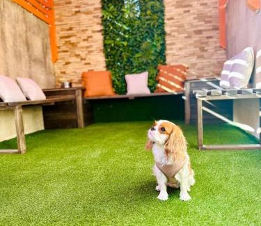 San Lawrenz Villa | Dawlet ix-Xemx Gozo Farmhouse