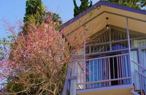 Phuong Hotel | DD Hospitality - Mây Bách Đà lạt