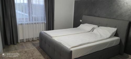 Cumpana House | Deacu's Home