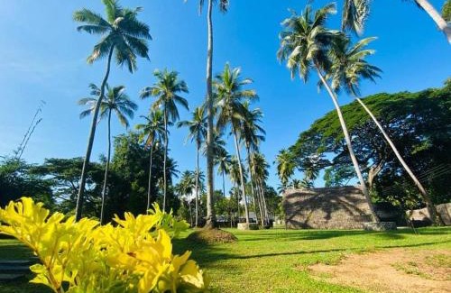 Ibbagamuwa Hotel | Deduru Cabana Nature Resort