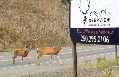 Okanagan-Similkameen Hotel | Deerview Lodge & Cabins - Princeton BC