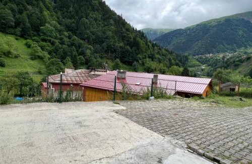 Caykara Apartment | Defne Apart