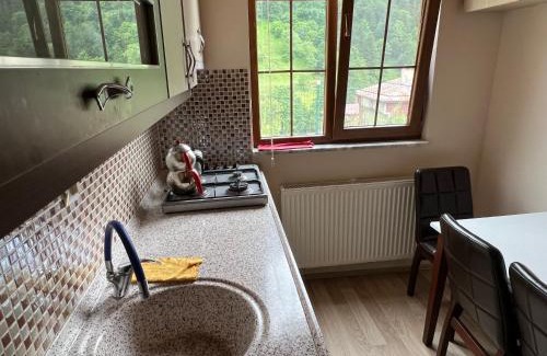 Caykara Apartment | Defne Apart