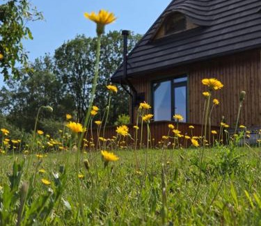 Sacuieu House | Deja View Cabin & Camp