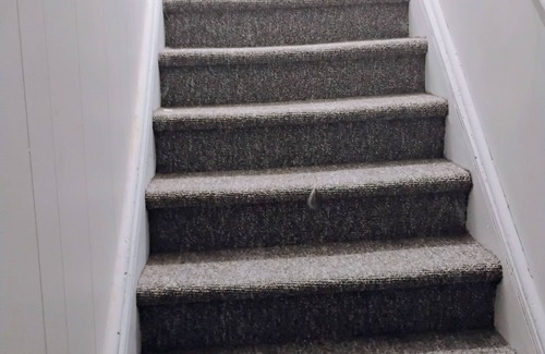 Melfort House | Delightful 1-bedroom house in Melfort with walking distance to downtown, shops