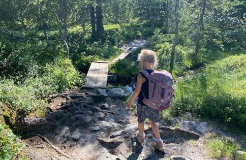 Flesberg House | Delikat tømmerhytte på Blefjell