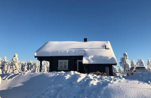 Flesberg House | Delikat tømmerhytte på Blefjell