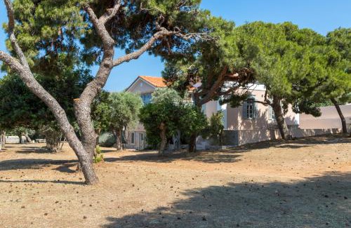 Posidonia Villa | DellaGracia Mansion in Poseidonia Syros