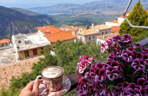 Delfoi Apartment | Delphic Horizons