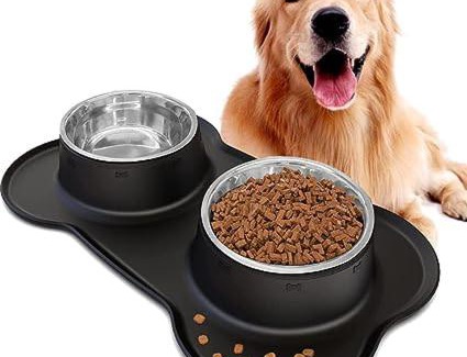 Downtown Mississauga Hotel | Delta Hotels by Marriott Toronto Mississauga