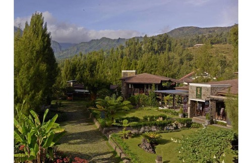 Ngadisari Apartment | Deluxe Double room at Jiwa Jawa Bromo