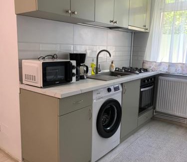 Piatra Neamt Apartment | Deluxe studio