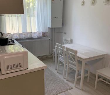 Piatra Neamt Apartment | Deluxe studio