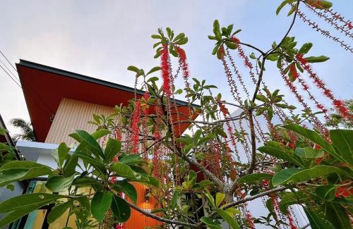 Pak Nam Villa | DelZiaNa Bara Villa Pakbara Satun พักได้ 6 ท่าน