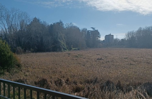 Valdivia Apartment | Departamento céntrico Isla teja 19