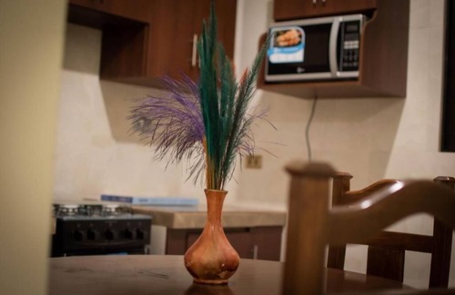 Cochabamba Apartment | Departamento Centrico