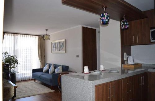 Concepcion Apartment | Departamento Concepción III