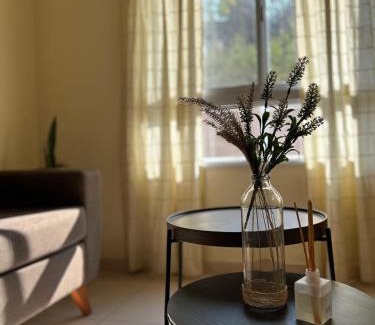 Santa Fe Apartment | Departamento en Colastine Norte