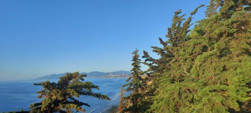 Puchuncavi Apartment | Departamento en Quiriyuca