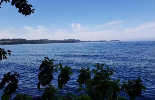 Llanquihue Apartment | Departamento frente al lago