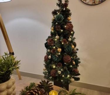 Concon Apartment | Departamento nuevo en sector costa de montemar