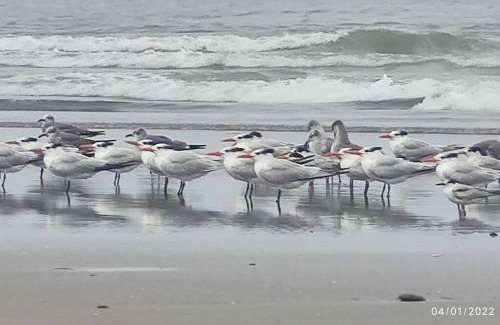 Tonsupa Apartment | Departamento Playero Fontaine Bleau Frente al Mar Tonsupa
