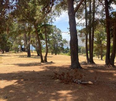 Quintay Apartment | Departamento un dormitorio en Santa Augusta