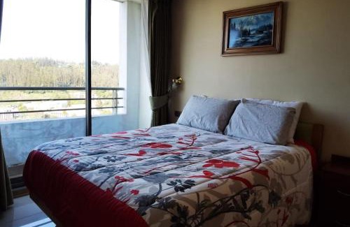 Concepcion Apartment | Depto con la mejor vista a la ciudad de Concepción