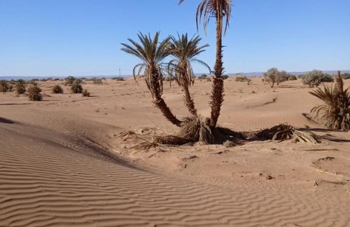 M'Hamid El Ghizlane Other | Desert Camp M'hamid