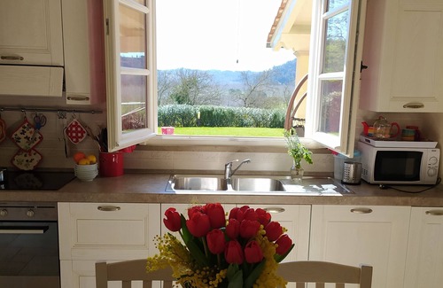 Montopoli in Val d'Arno House | Detached house, private swimming pool, private fenced garden, panoramic view