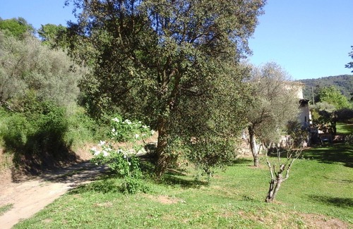 Collobrieres Villa | Detached villa in the Provencal countryside between Hyeres and St Tropez