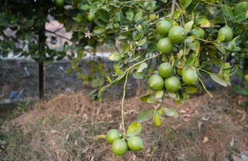 Barddhaman Hotel | Dhanbari Retreat