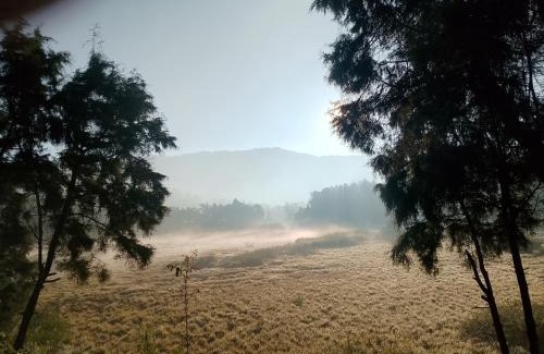 Dieng Kulon Other | Dieng glamping syari'ah