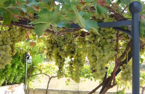 Crispiano Apartment | dimora del sole e del vento