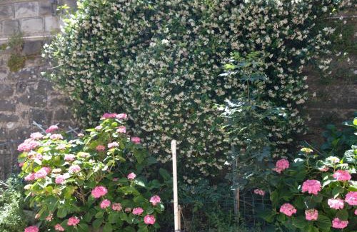 Montecreto Apartment | Discover Appennino - Via Roma 64 - Montecreto