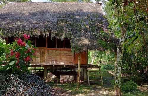 Ahuano Cabin | Discover serenity in the Ecuadorian Amazon.
