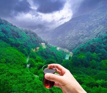 Caykara Apartment | Doğadaki Büyük Eviniz Suit Apart 2+1