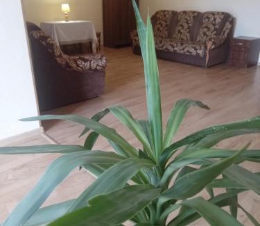 Mukachevo Apartment | DOBA - ЦЕНТР 2 ком 7-8місць Завжди тепла !