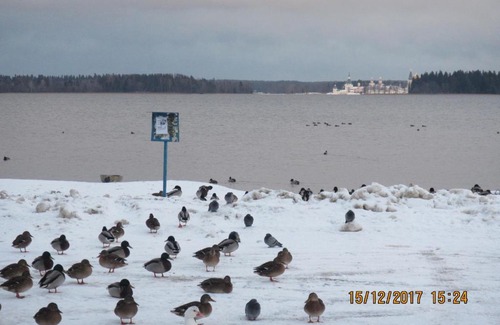 Valday Apartment | Dobriy gost apartment