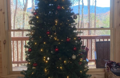 Cherry Log Cabin | Dog friendly, 2/2 w/kings, Mtn view! Fire pit, Wifi, gas logs. Cherry Log MTN !